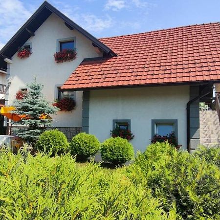 Privatni Smestaj Tesevic Zlatibor Exteriér fotografie