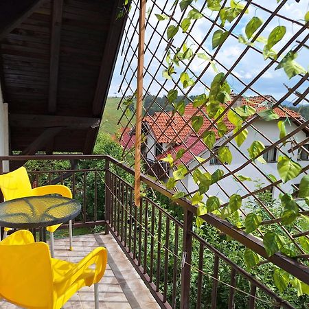 Privatni Smestaj Tesevic Zlatibor Exteriér fotografie