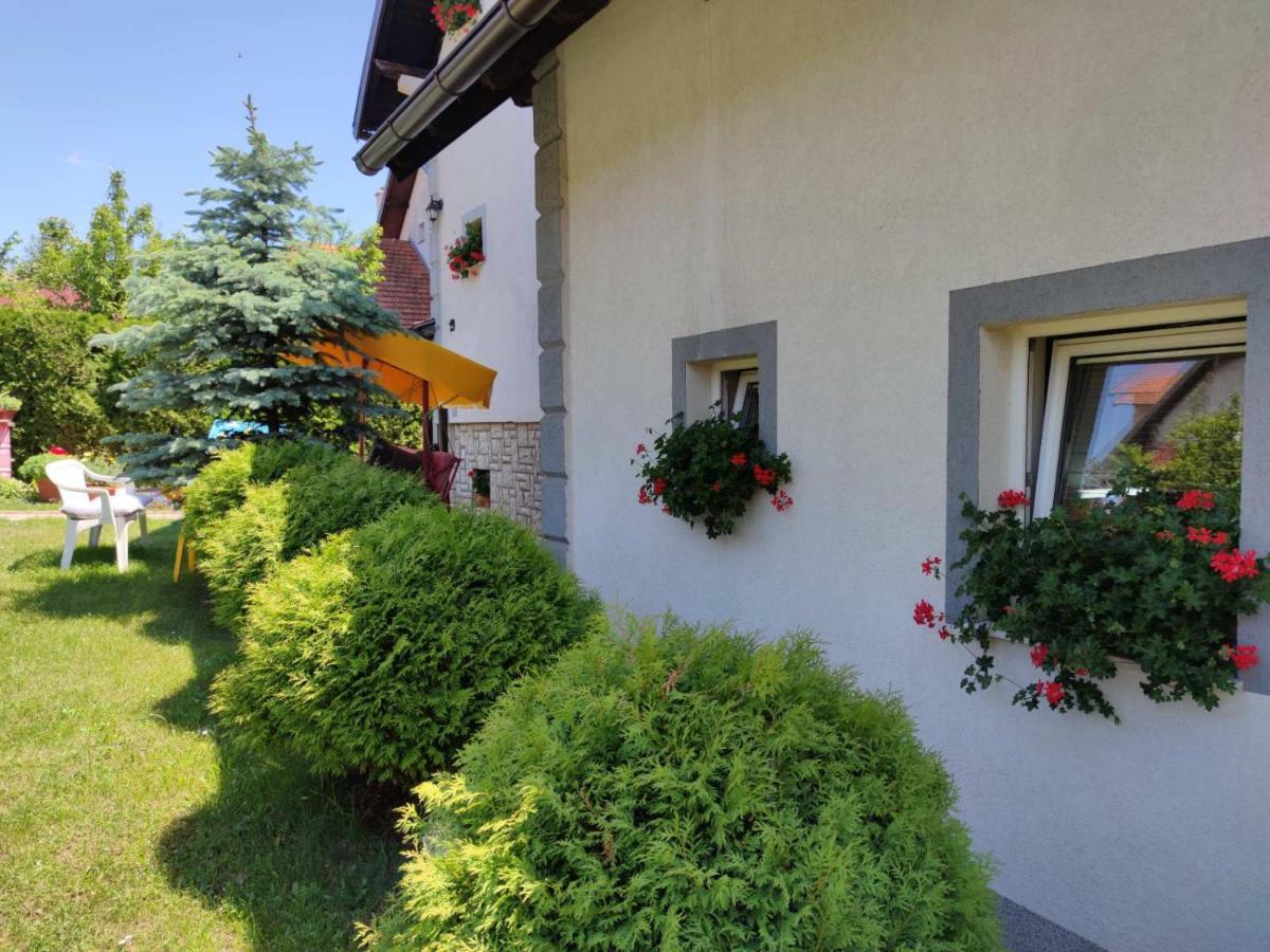 Privatni Smestaj Tesevic Zlatibor Exteriér fotografie