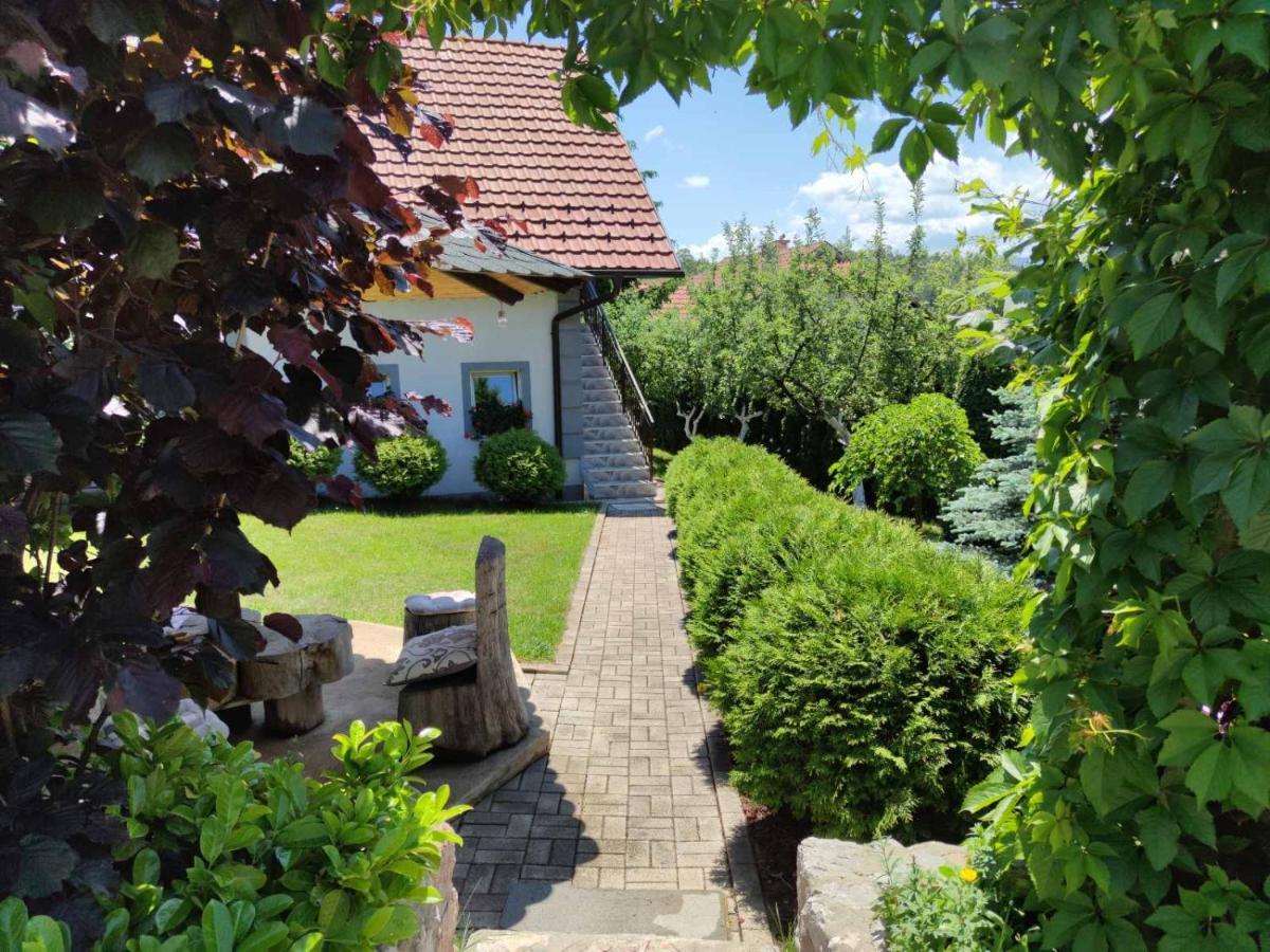 Privatni Smestaj Tesevic Zlatibor Exteriér fotografie