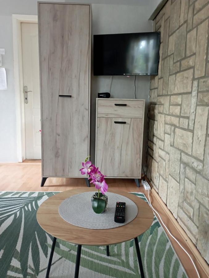 Privatni Smestaj Tesevic Zlatibor Exteriér fotografie