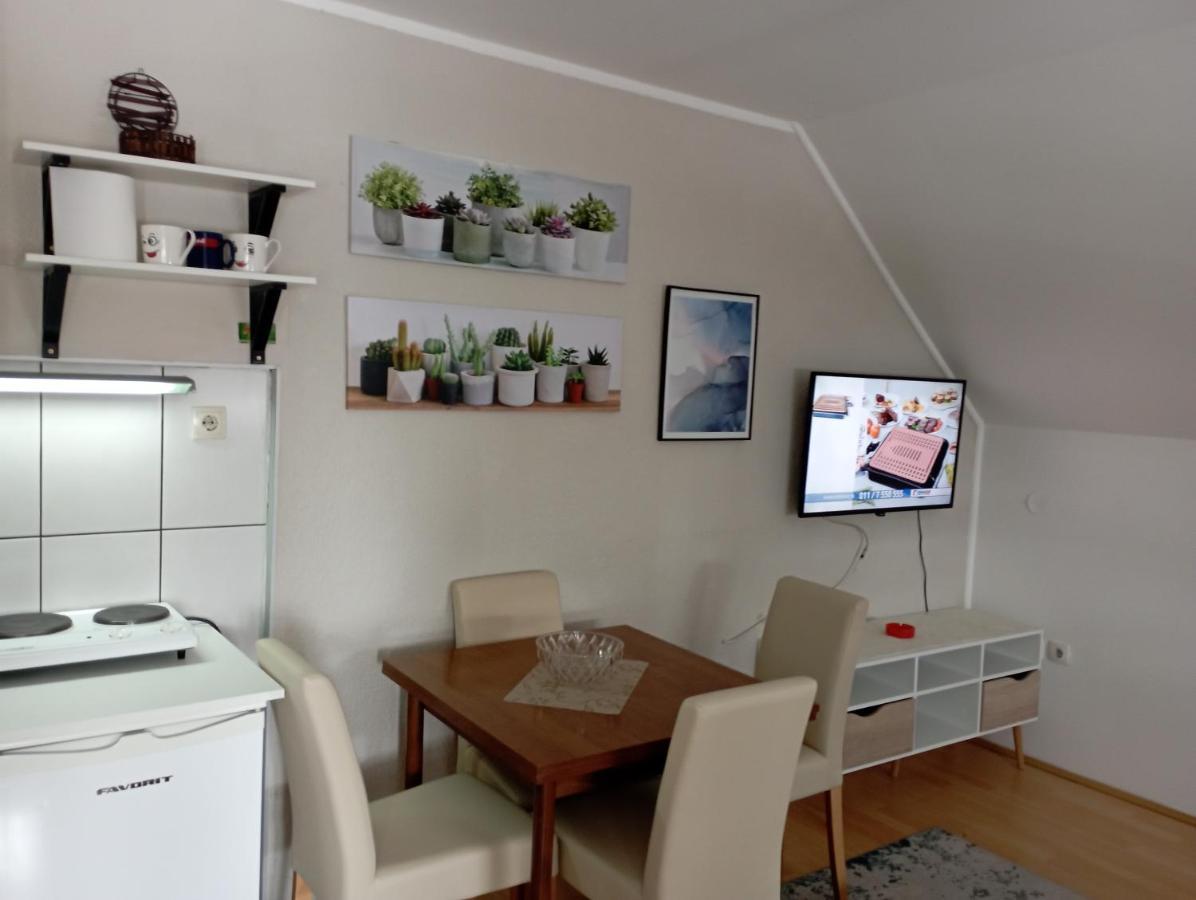 Privatni Smestaj Tesevic Zlatibor Exteriér fotografie