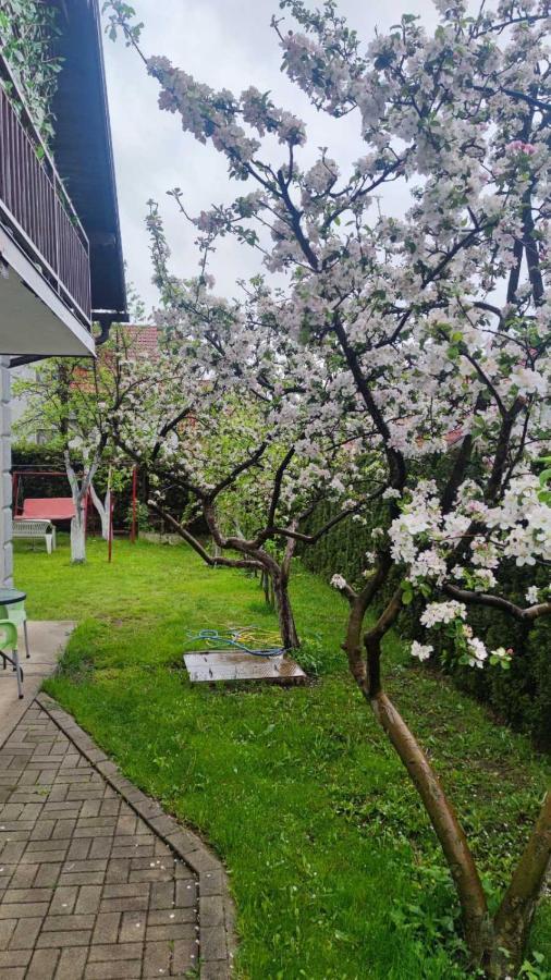 Privatni Smestaj Tesevic Zlatibor Exteriér fotografie