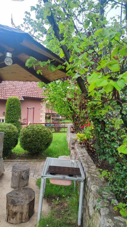 Privatni Smestaj Tesevic Zlatibor Exteriér fotografie