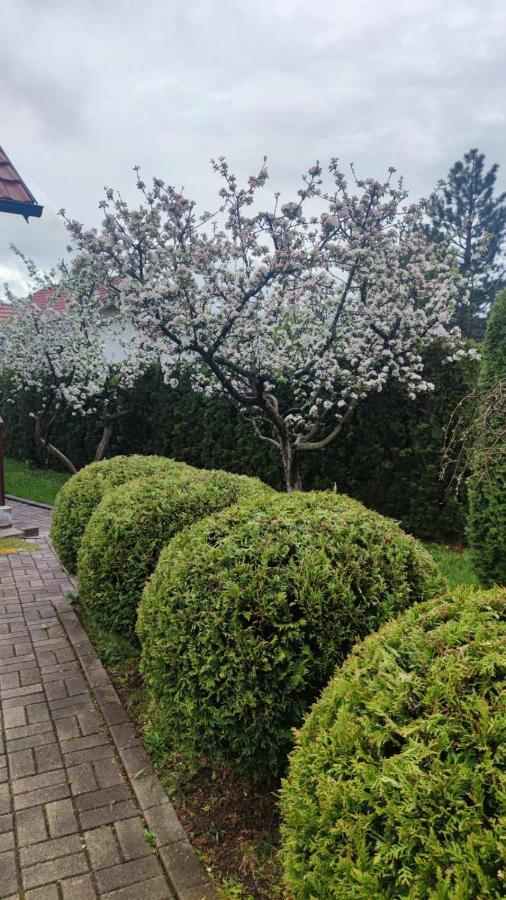 Privatni Smestaj Tesevic Zlatibor Exteriér fotografie