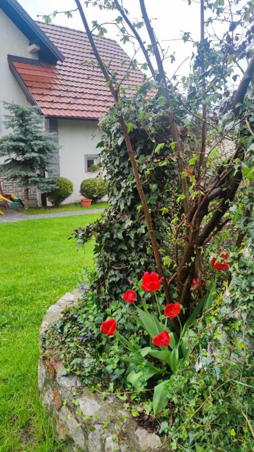Privatni Smestaj Tesevic Zlatibor Exteriér fotografie