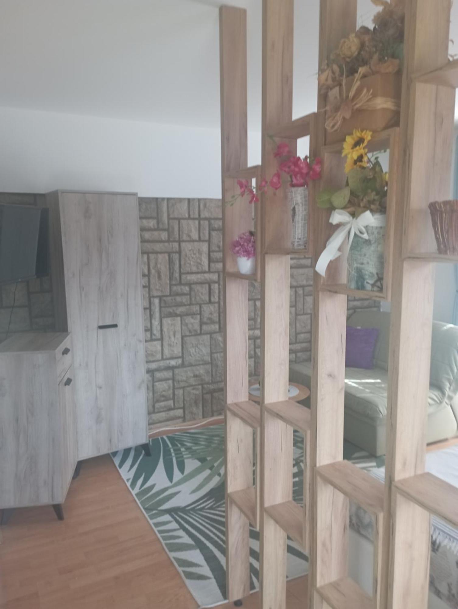 Privatni Smestaj Tesevic Zlatibor Exteriér fotografie