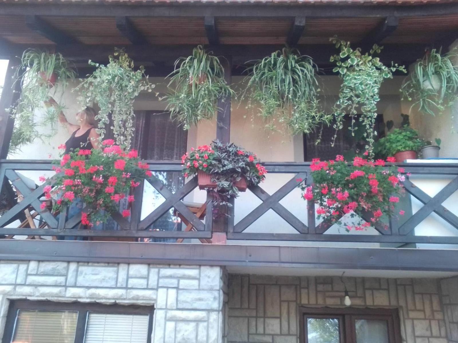 Privatni Smestaj Tesevic Zlatibor Exteriér fotografie